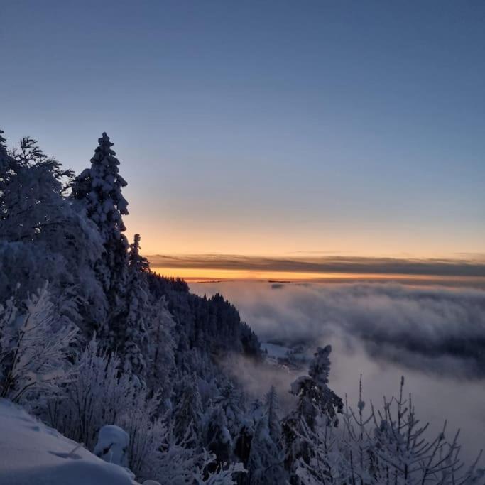 미주 Le Montagnard 아파트 외부 사진